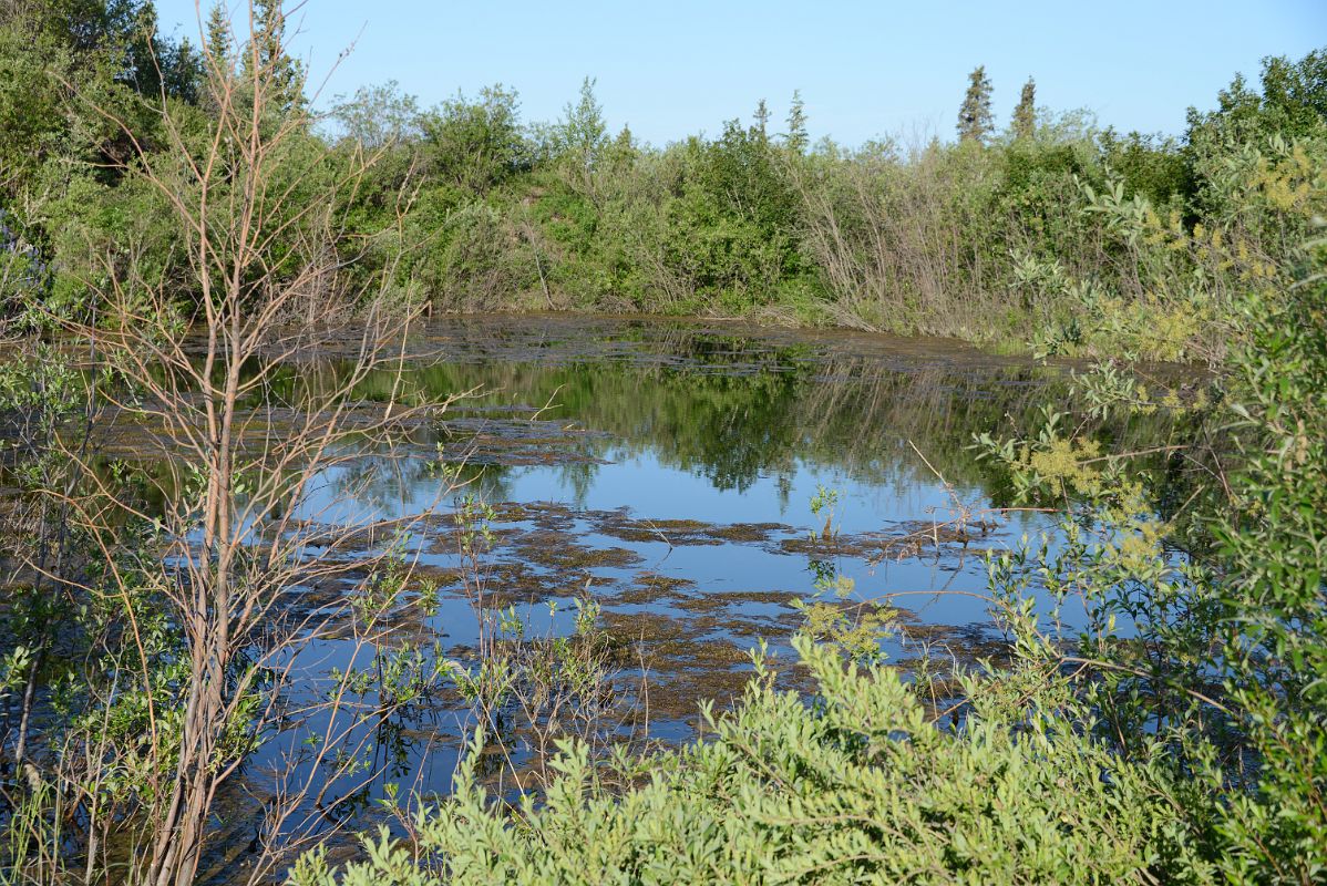 32 Small Lake Near Inuvik Northwest Territories
